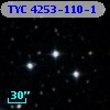 TYC 4253-110-1