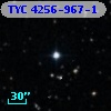 TYC 4256-967-1