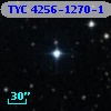 TYC 4256-1270-1