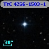 TYC 4256-1503-1