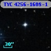 TYC 4256-1608-1