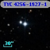 TYC 4256-1827-1