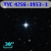TYC 4256-1853-1