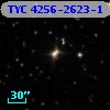 TYC 4256-2623-1