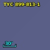 TYC  899-813-1