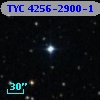 TYC 4256-2900-1