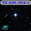 TYC 4256-2924-1