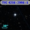 TYC 4256-2986-1