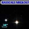 RASSCALS NRGb267
