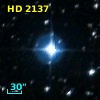 HD   2137