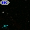 BSCG 11