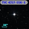 TYC 4257-556-1