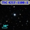 TYC 4257-1100-1