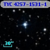 TYC 4257-1531-1