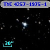 TYC 4257-1975-1