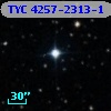 TYC 4257-2313-1