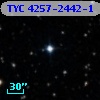TYC 4257-2442-1