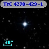 TYC 4270-429-1