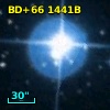 BD+66  1441B