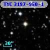 TYC 3187-950-1