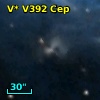 V* V392 Cep