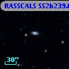 RASSCALS SS2b239.048