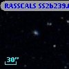 RASSCALS SS2b239.052