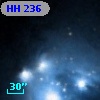 HH 236