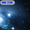 HH 239