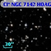 Cl* NGC 7142   HOAG       9