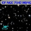 Cl* NGC 7142   HOAG      19