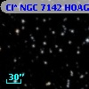 Cl* NGC 7142   HOAG      21
