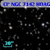 Cl* NGC 7142   HOAG      22