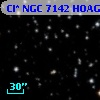 Cl* NGC 7142   HOAG      23