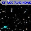 Cl* NGC 7142   HOAG      24