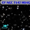 Cl* NGC 7142   HOAG      25