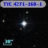 TYC 4271-160-1