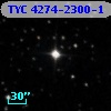 TYC 4274-2300-1