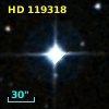 HD 119318