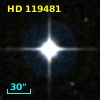 HD 119481