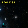 LDN 1181