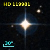 HD 119981
