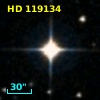 HD 119134