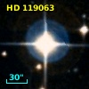 HD 119063