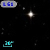 L  619-49