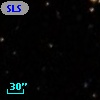 SLSBG 228