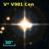 V* V981 Cen