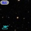 SLSBG   8