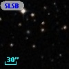 SLSBG  31