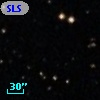 SLSBG 100
